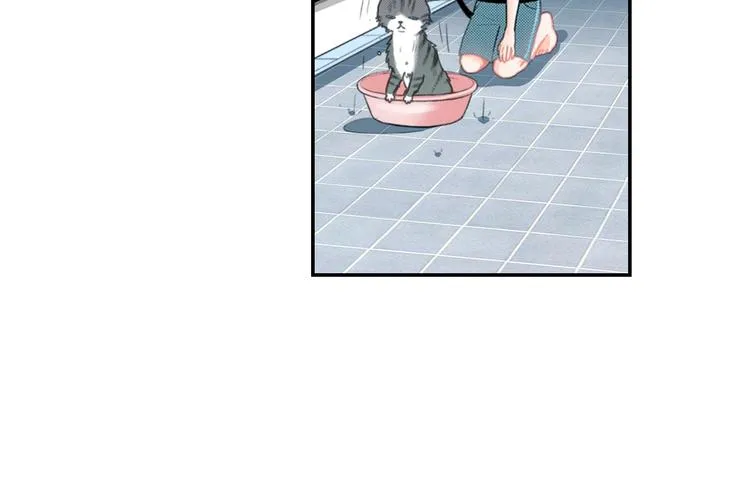 第6话 变猫男主的福利 第12页