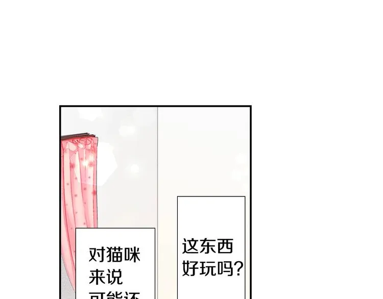 第6话 变猫男主的福利 第17页