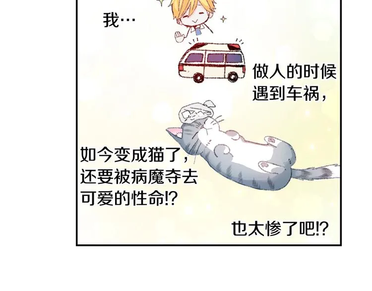 第6话 变猫男主的福利 第36页