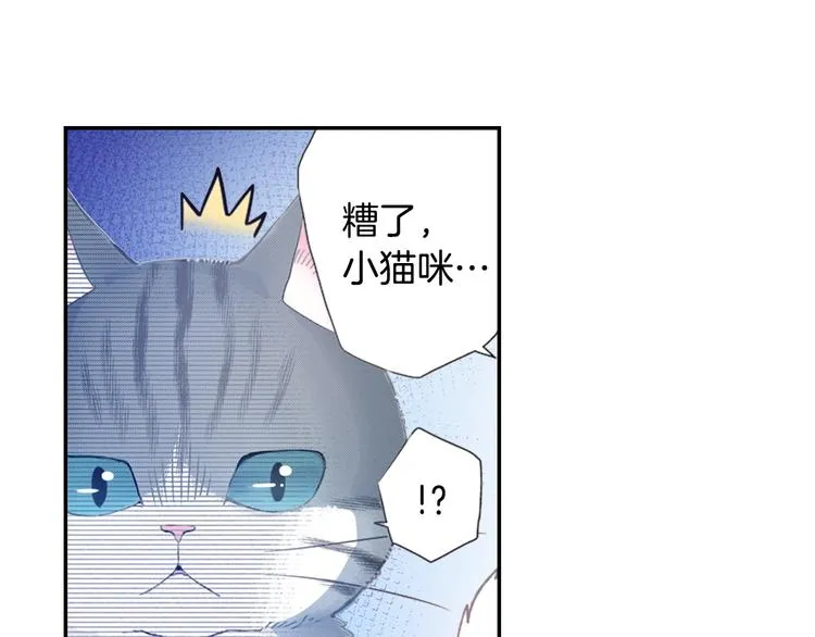 第6话 变猫男主的福利 第37页