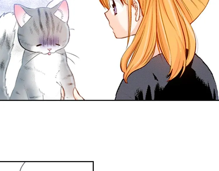 第6话 变猫男主的福利 第57页