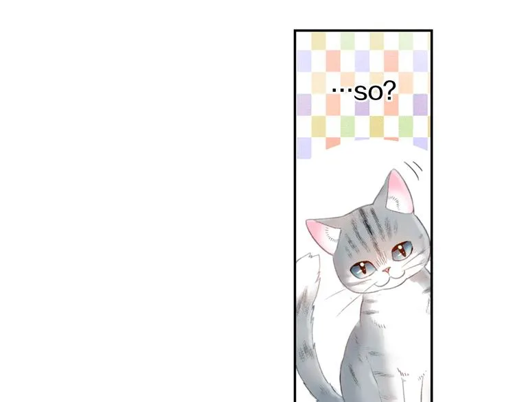第6话 变猫男主的福利 第62页
