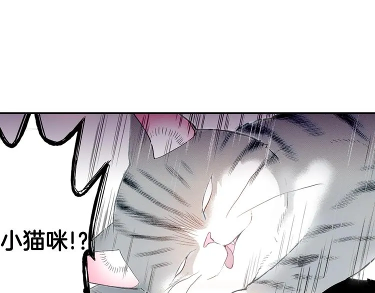 第6话 变猫男主的福利 第71页