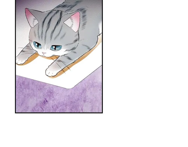 第6话 变猫男主的福利 第74页