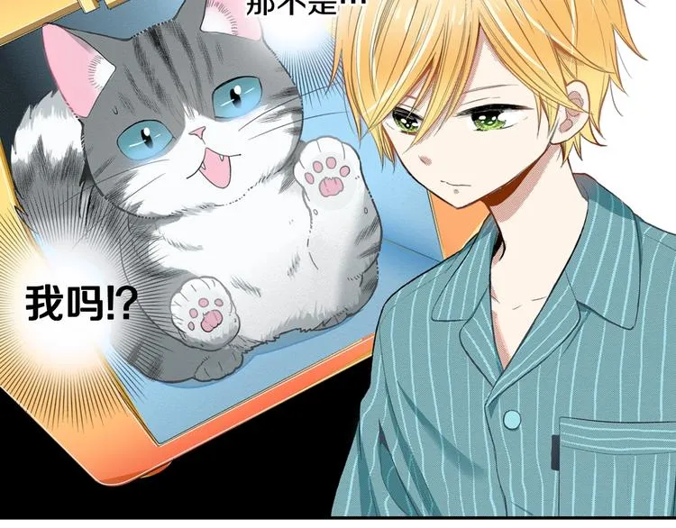 第6话 变猫男主的福利 第87页