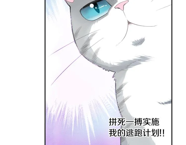 第6话 变猫男主的福利 第92页
