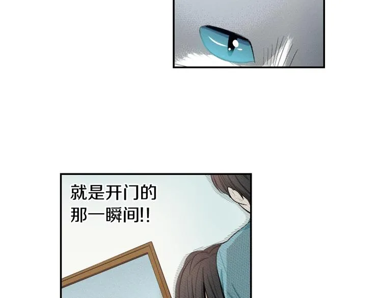 第6话 变猫男主的福利 第97页