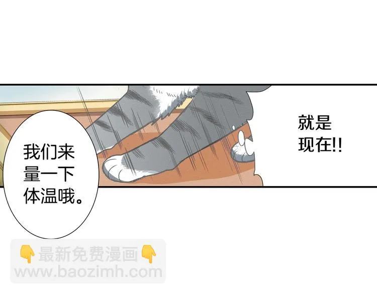 第6话 变猫男主的福利 第101页