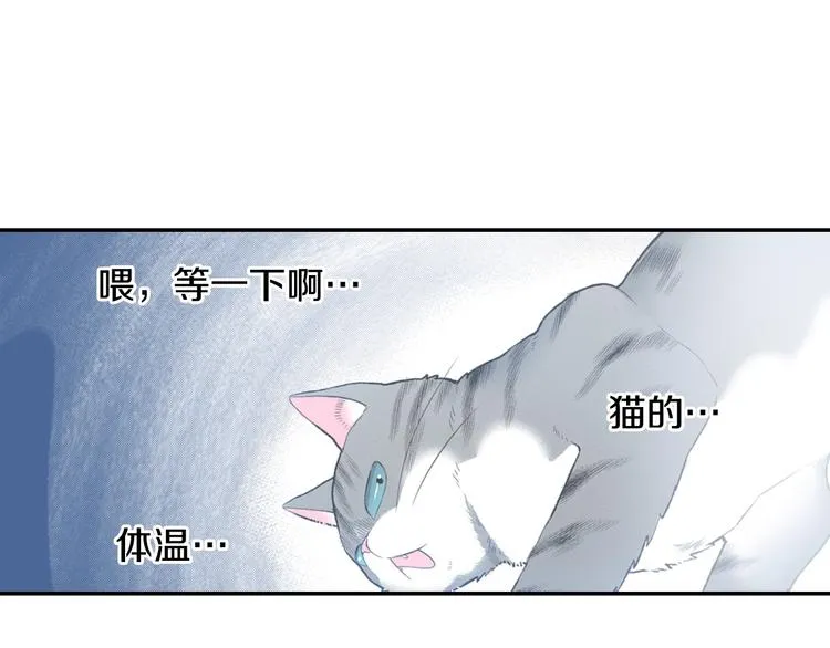 第6话 变猫男主的福利 第104页