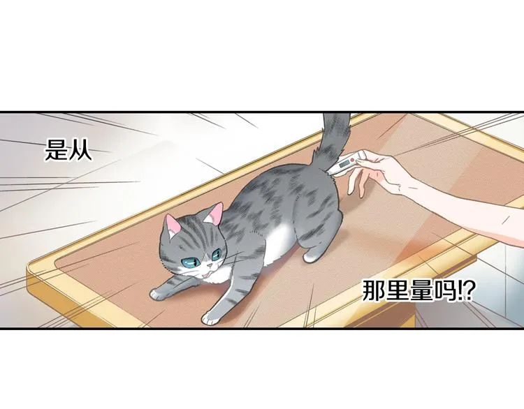 第6话 变猫男主的福利 第105页