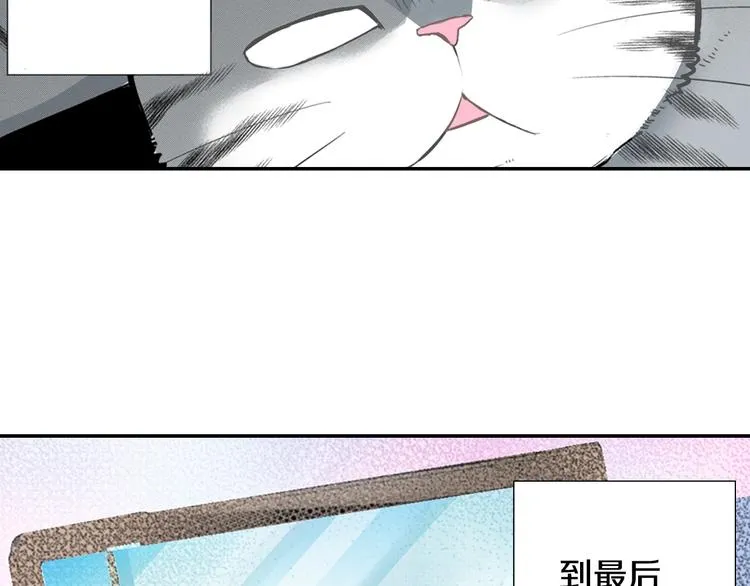 第6话 变猫男主的福利 第116页