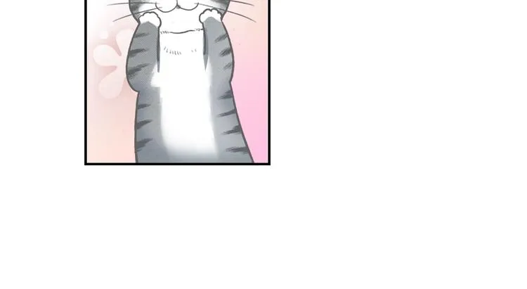 第6话 变猫男主的福利 第119页