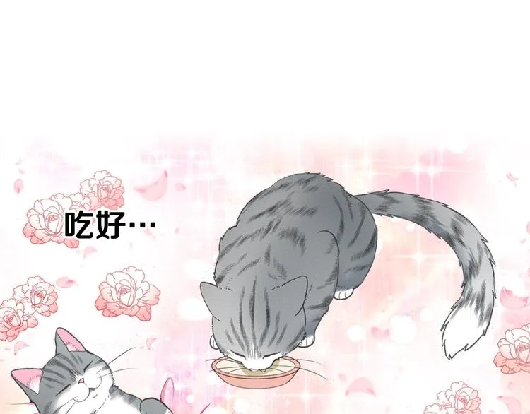 第6话 变猫男主的福利 第120页