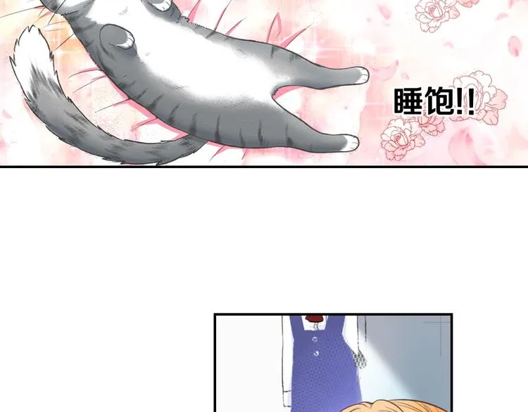第6话 变猫男主的福利 第121页