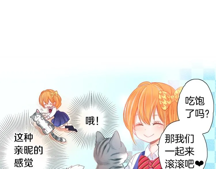 第5话 猫砂盆初体验 第1页