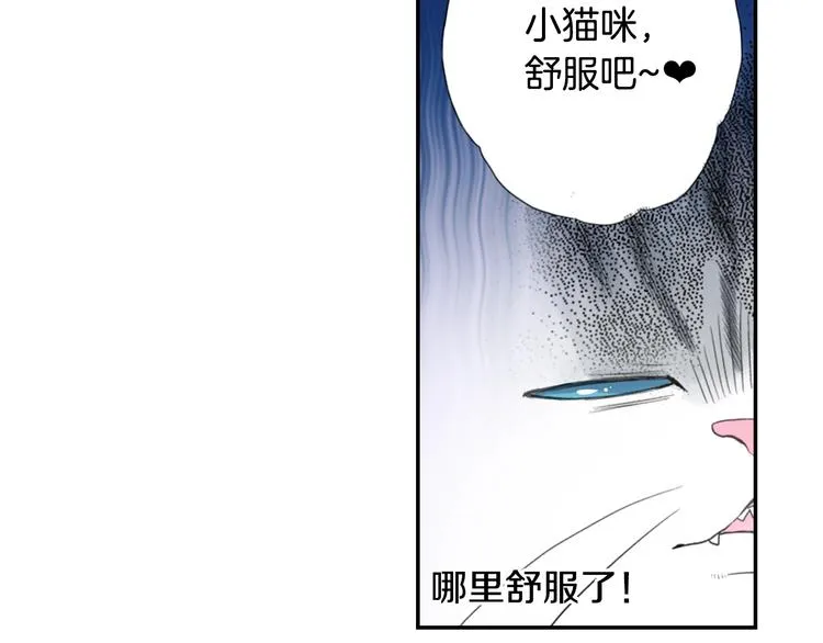 第5话 猫砂盆初体验 第4页
