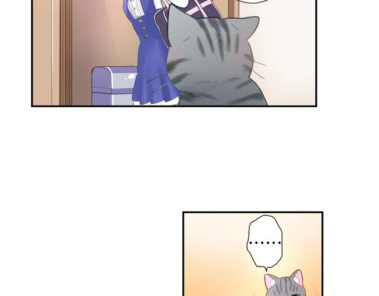 第5话 猫砂盆初体验 第6页