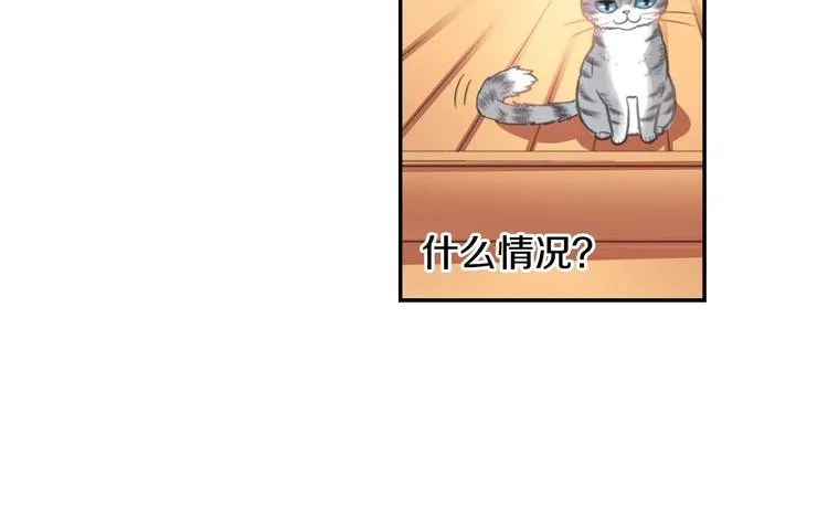 第5话 猫砂盆初体验 第7页