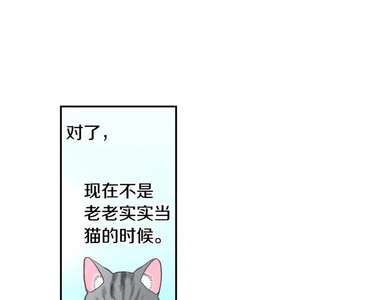 第5话 猫砂盆初体验 第8页