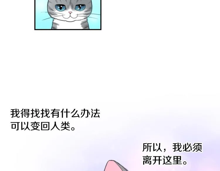 第5话 猫砂盆初体验 第9页