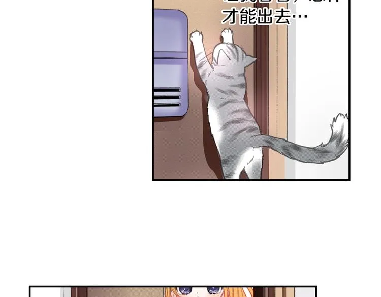 第5话 猫砂盆初体验 第11页