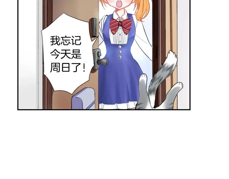 第5话 猫砂盆初体验 第12页