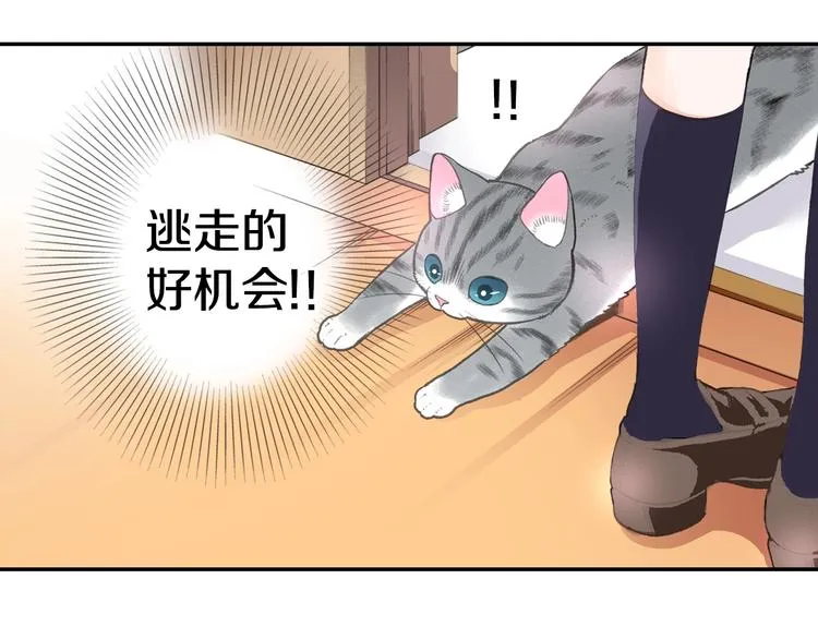 第5话 猫砂盆初体验 第13页