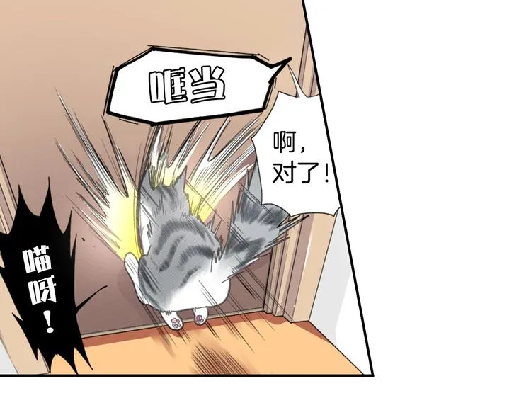 第5话 猫砂盆初体验 第17页