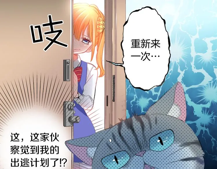 第5话 猫砂盆初体验 第19页