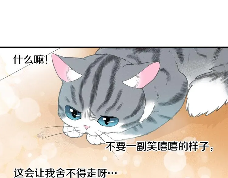 第5话 猫砂盆初体验 第25页