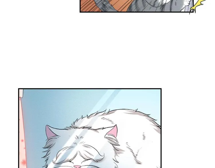 第5话 猫砂盆初体验 第37页