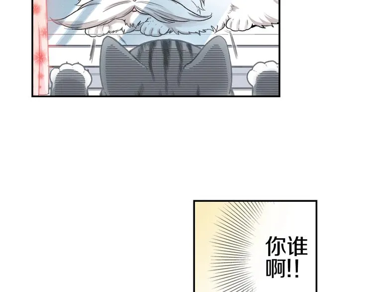 第5话 猫砂盆初体验 第38页