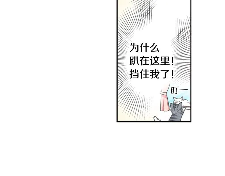 第5话 猫砂盆初体验 第39页