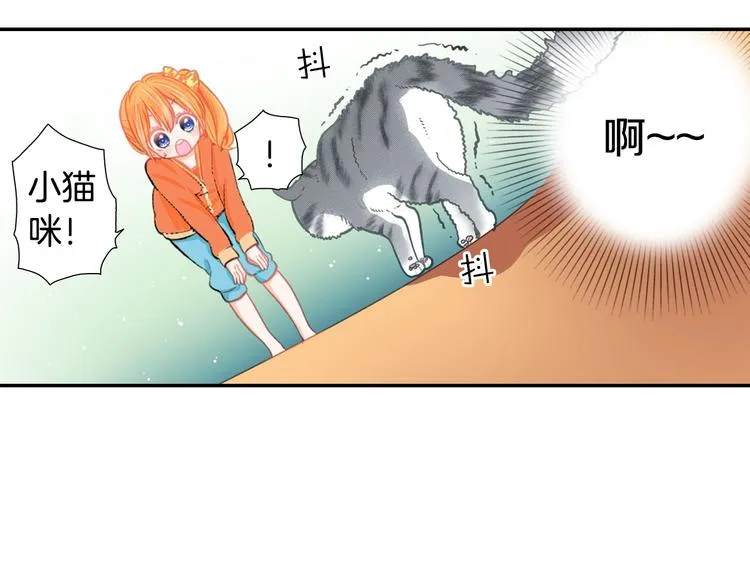 第5话 猫砂盆初体验 第40页
