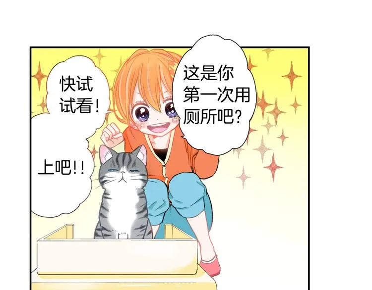 第5话 猫砂盆初体验 第46页