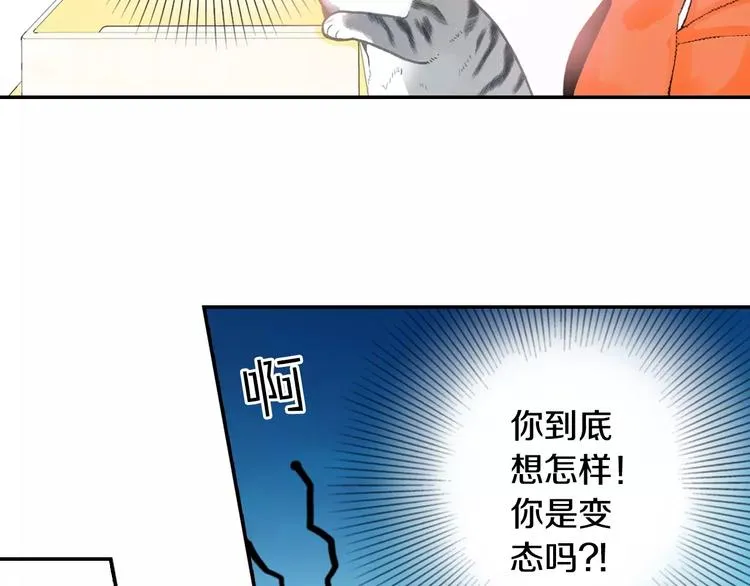 第5话 猫砂盆初体验 第50页