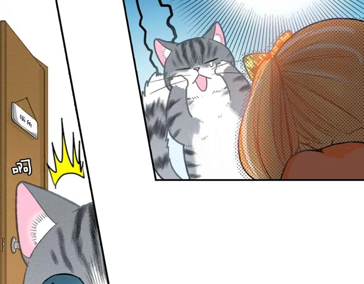 第5话 猫砂盆初体验 第51页