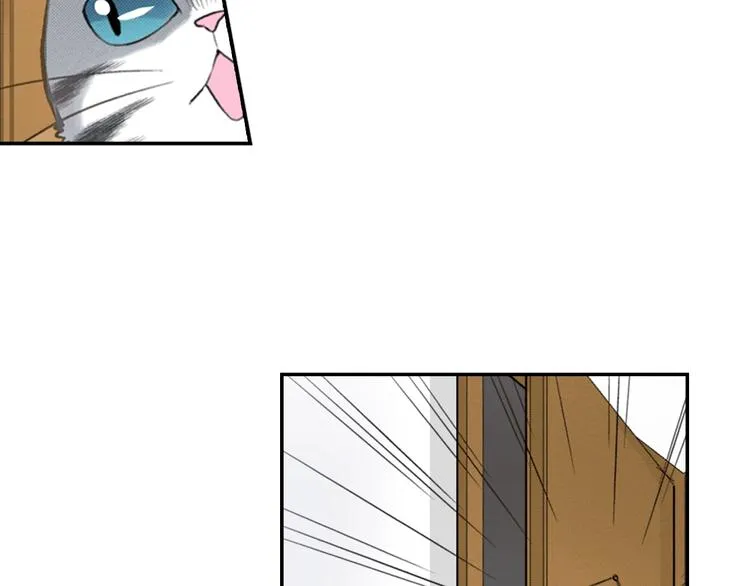 第5话 猫砂盆初体验 第52页