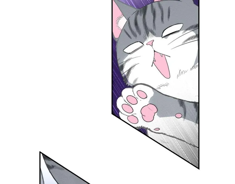 第5话 猫砂盆初体验 第60页