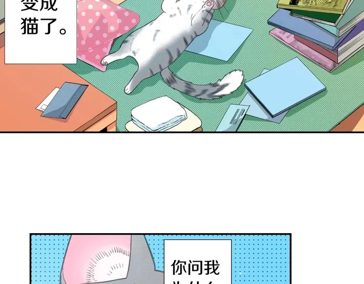 第4话 小叶不为人知的秘密 第56页