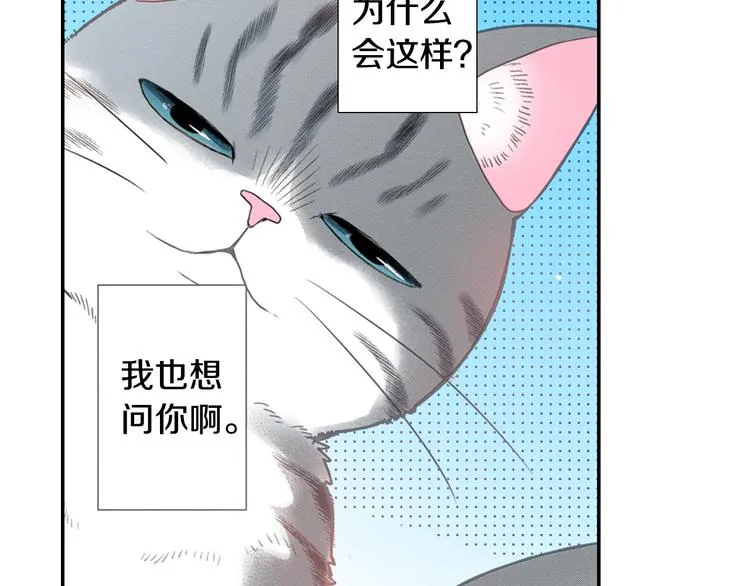 第4话 小叶不为人知的秘密 第57页