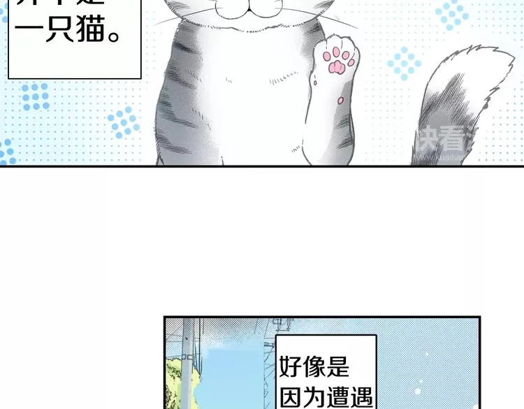 第3话 同居可还行 第24页