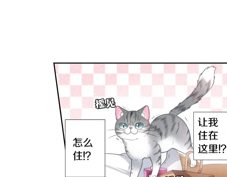 第3话 同居可还行 第42页