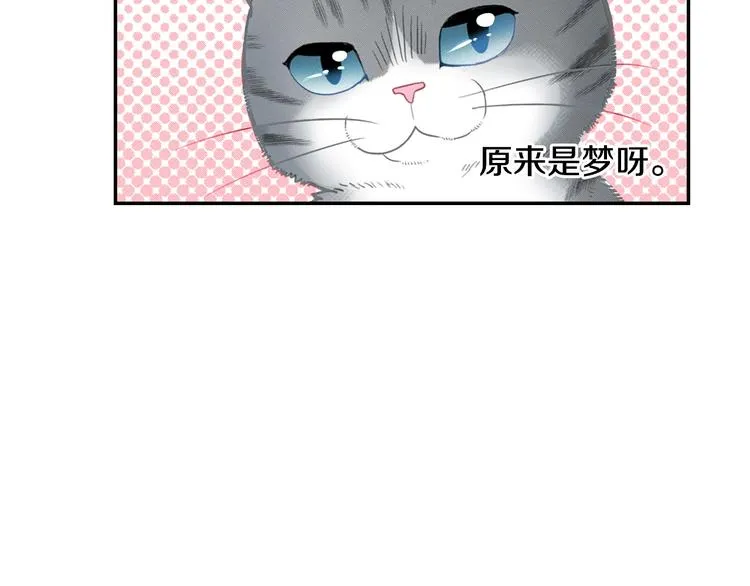 第1话 意外的车祸 第13页
