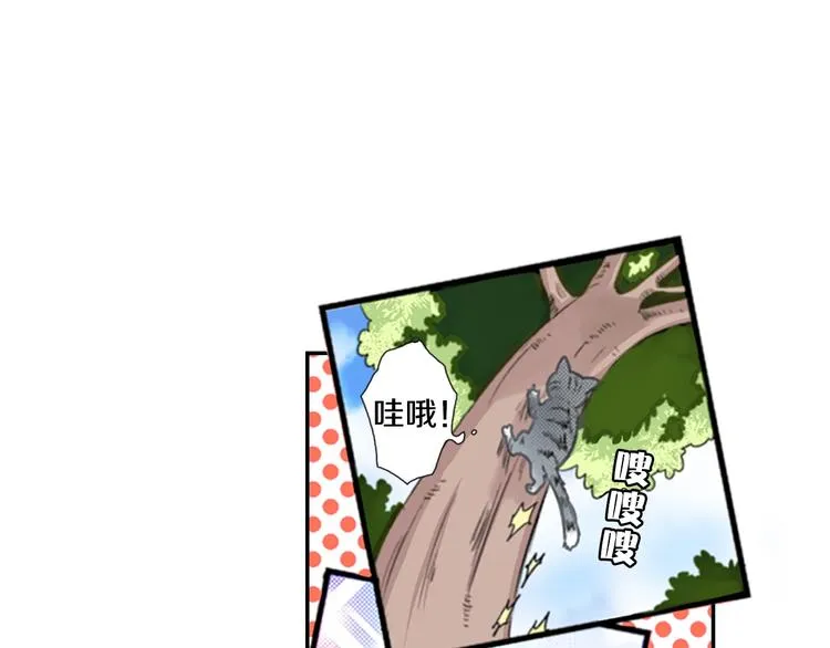 第1话 意外的车祸 第27页