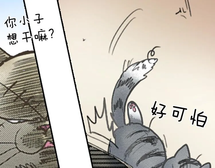 第1话 意外的车祸 第37页