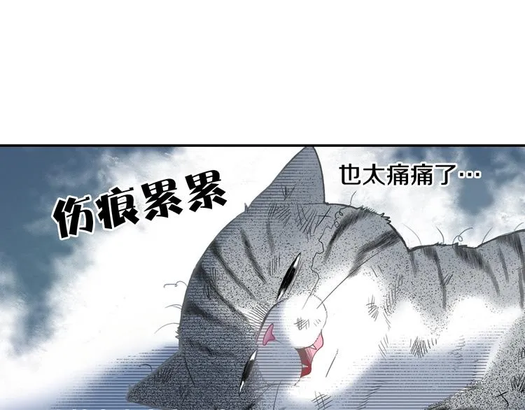 第1话 意外的车祸 第40页