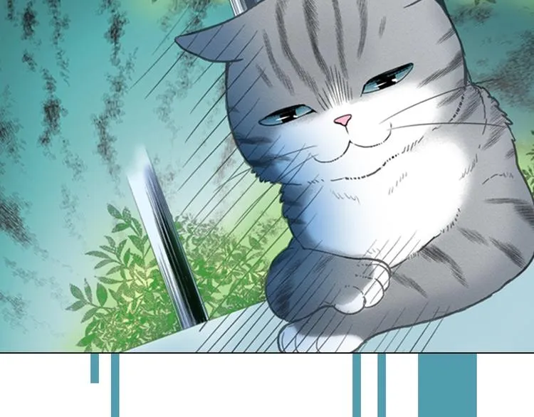 序章 车祸重生，变猫重启！ 第10页