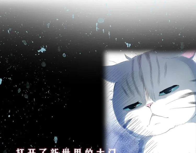 序章 车祸重生，变猫重启！ 第16页