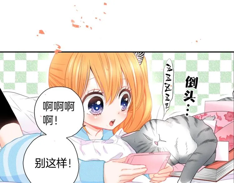 序章 车祸重生，变猫重启！ 第19页